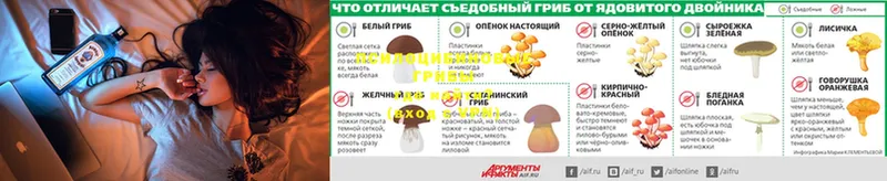 Галлюциногенные грибы ЛСД  купить наркотики сайты  Кирсанов 